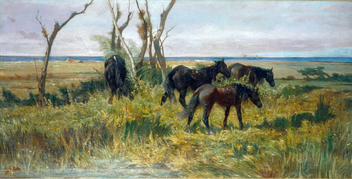 Cavalli al pascolo - Istituto Matteucci, Viareggio (Lucca)